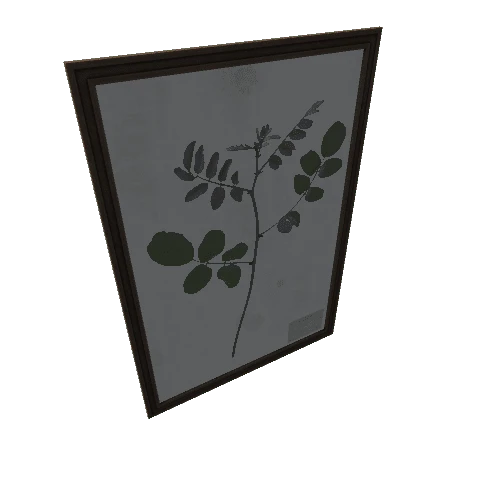 SM_herbarium_picture_06