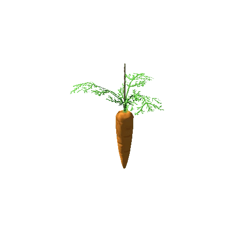 TreeToy_Carrot