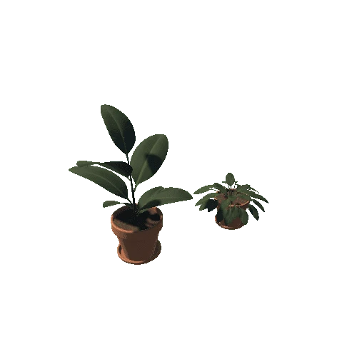 Plants_01