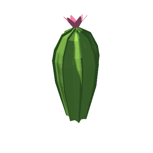 Cactus_02_01