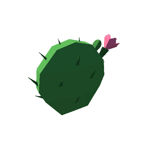 Cactus_04