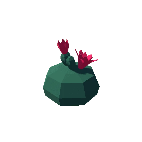 Cactus_06