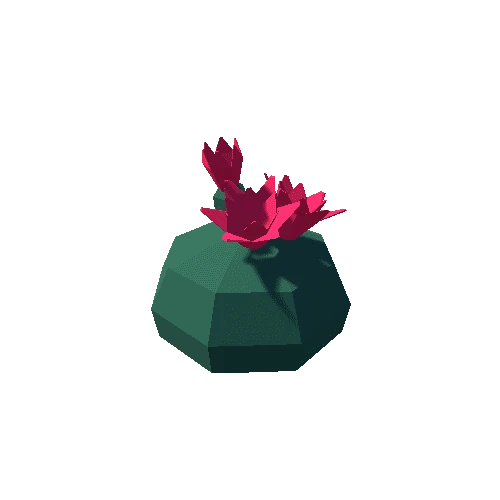 Cactus_06_1