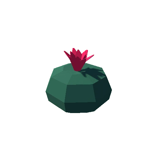 Cactus_06_2