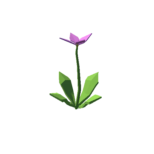 Flower_01_1