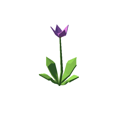 Flower_01_5