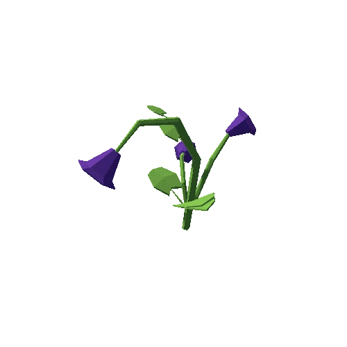 Flower_02_4