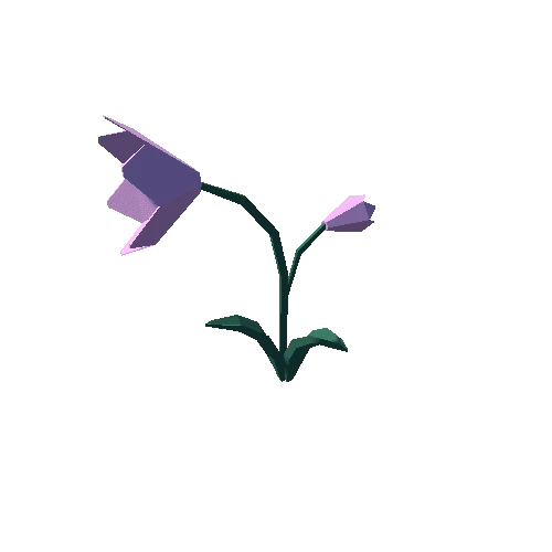 Flower_03_5