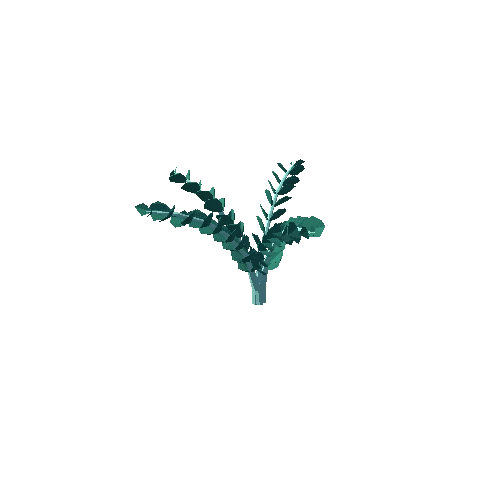 Plant_11