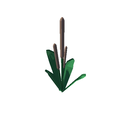 Plant_13