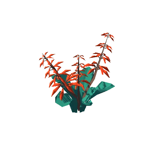 Plant_14