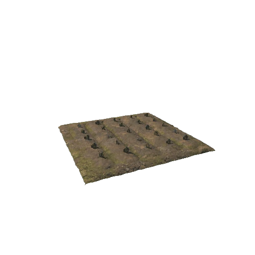 Field_Dry_Small