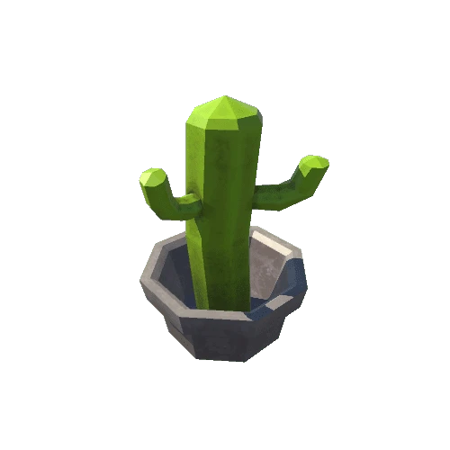 Cactus