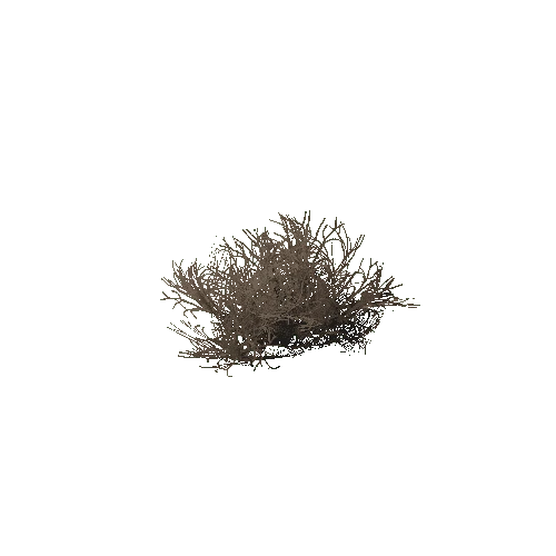 PW_FOC_TerrainDetail_DeadBush_LOD_0