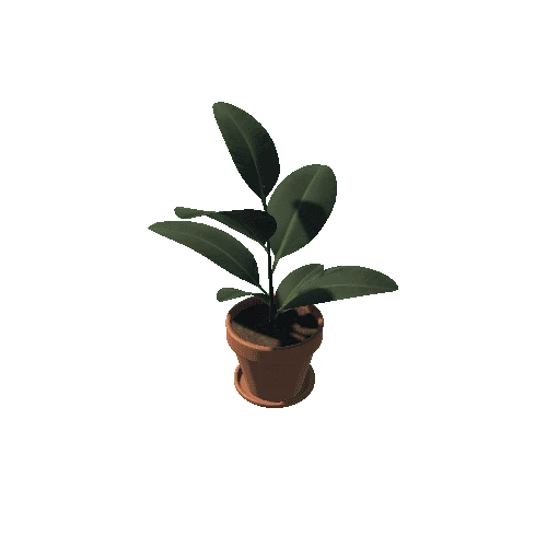 Plants_01_plant_A