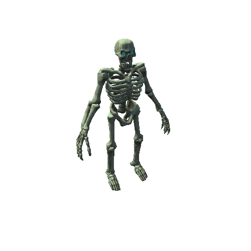 Skeleton_body