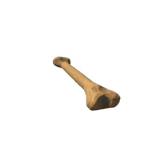 Small_Bone_3