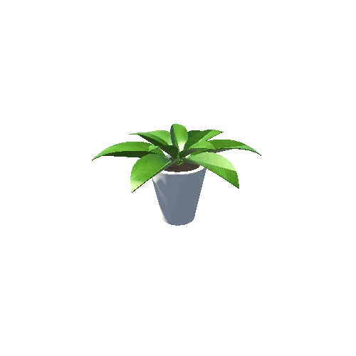 Plant