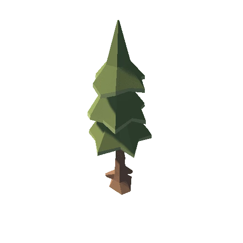 fir_tree_3