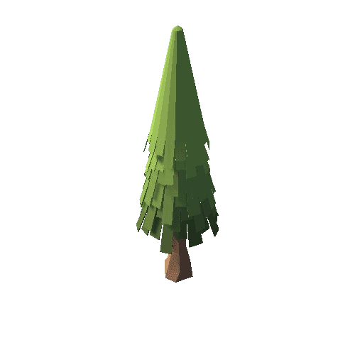 fir_tree_30