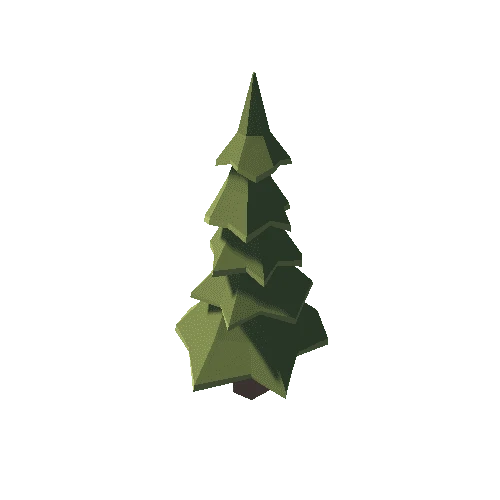 fir_tree_5