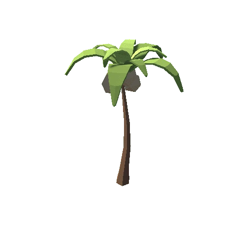 palm_1