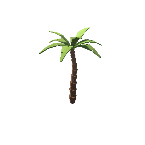 palm_3