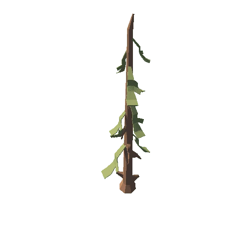 pine_1