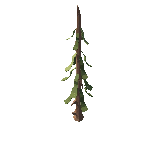 pine_3