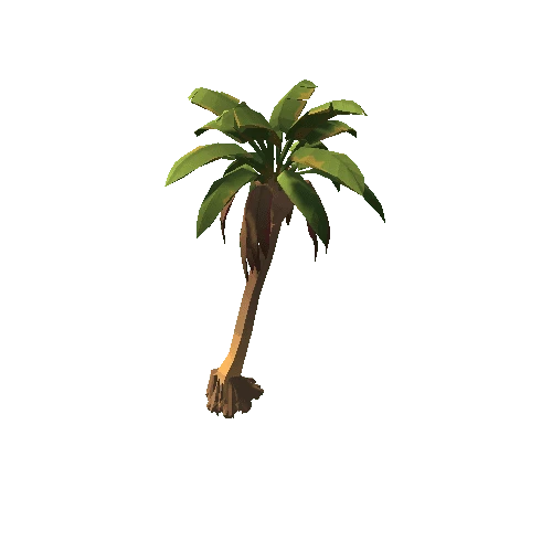 Plant_PalmTree_SabalA