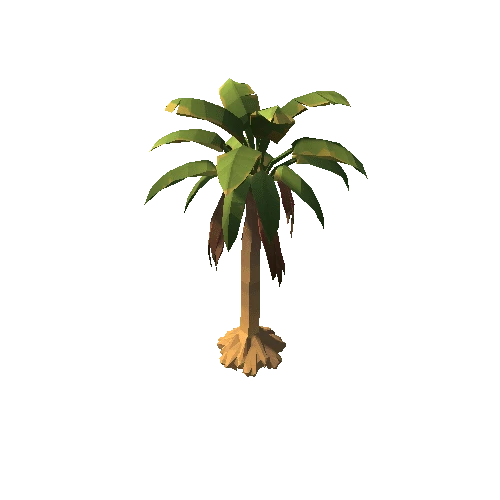 Plant_PalmTree_SabalB