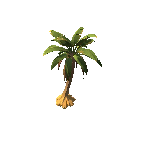 Plant_PalmTree_SabalC