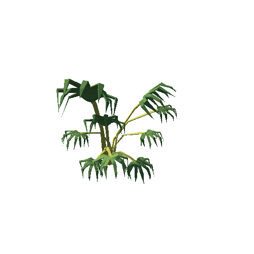 Plant_Papyrus_BundleB