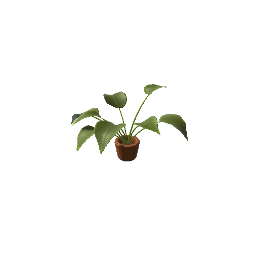 Plant_B