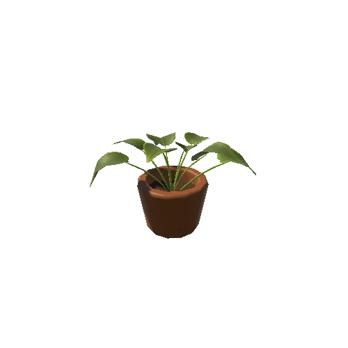 Plant_B_Small