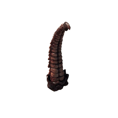 Base_mesh_Tentacle