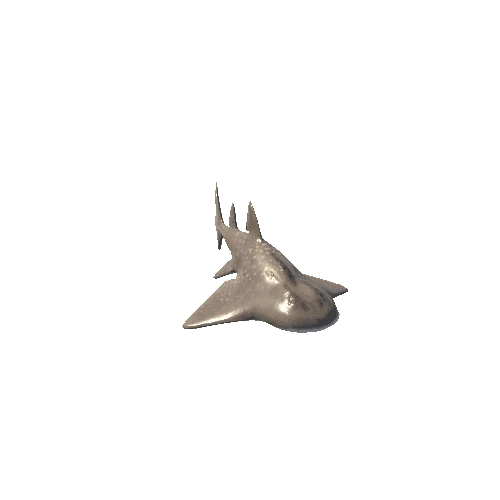 Shark_Ray_Mesh_M