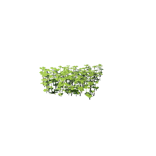 SM_Plant_Grass_Assemble_Clover_06