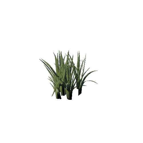 SM_Plant_Grass_Assemble_Long_01