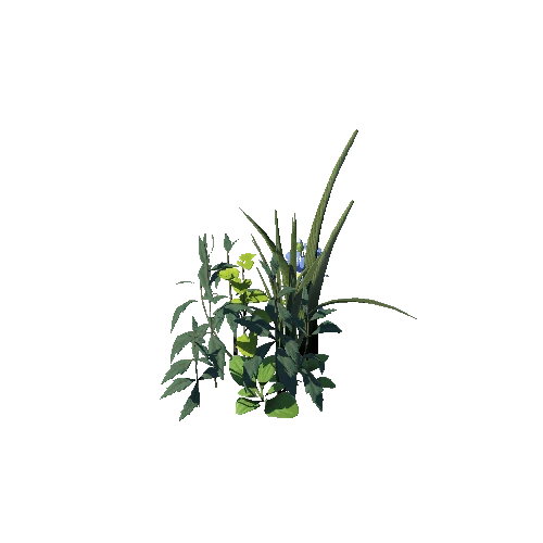 SM_Plant_Grass_Assemble_Long_05