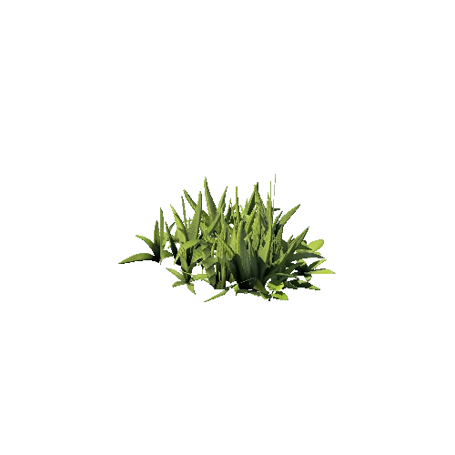 SM_Plant_Grass_Assemble_Mid_02