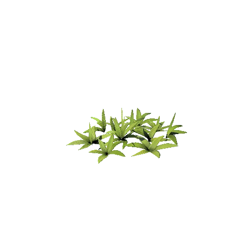 SM_Plant_Grass_Assemble_Short_01