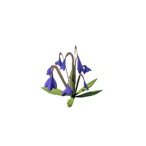 SM_Plant_Grass_Bluebell_Flower_01