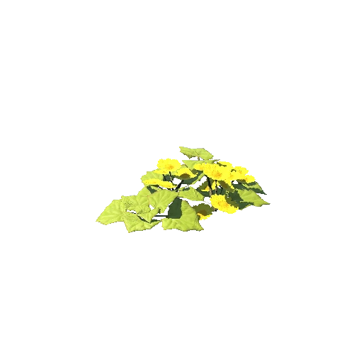 SM_Plant_Grass_Foalfoot_Flower_04