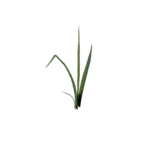 SM_Plant_Grass_Long_02