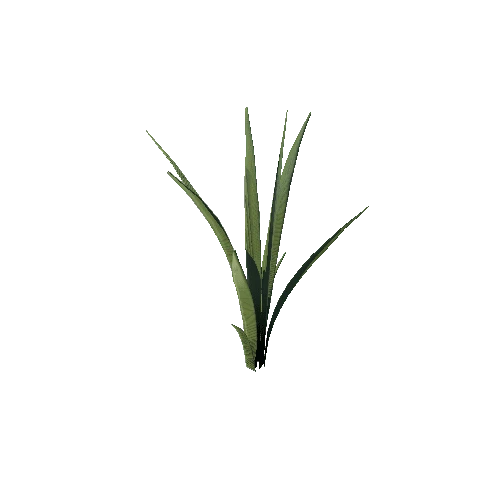 SM_Plant_Grass_Long_04