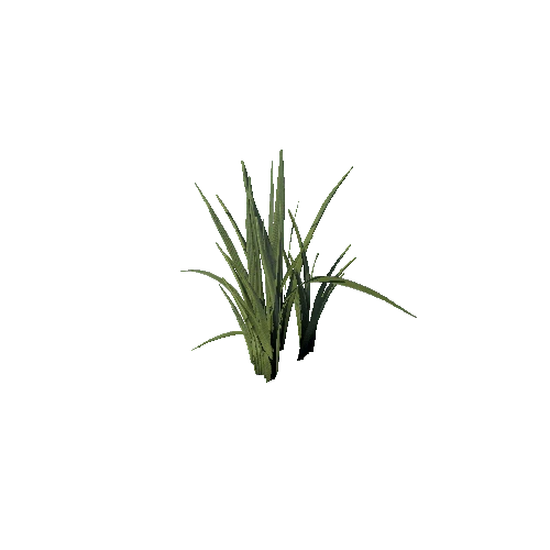 SM_Plant_Grass_Long_05