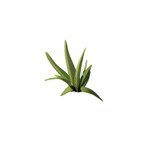 SM_Plant_Grass_Mid_A_01