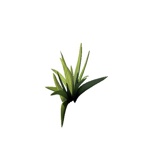 SM_Plant_Grass_Mid_A_02