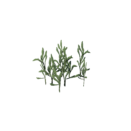 SM_Plant_Grass_Mid_B_04